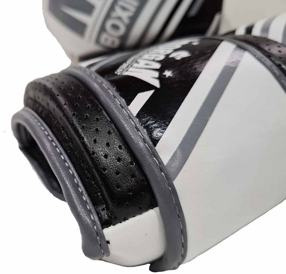 MORGAN Aventus Leather Boxing Gloves - Boxing & Muay Thai - white