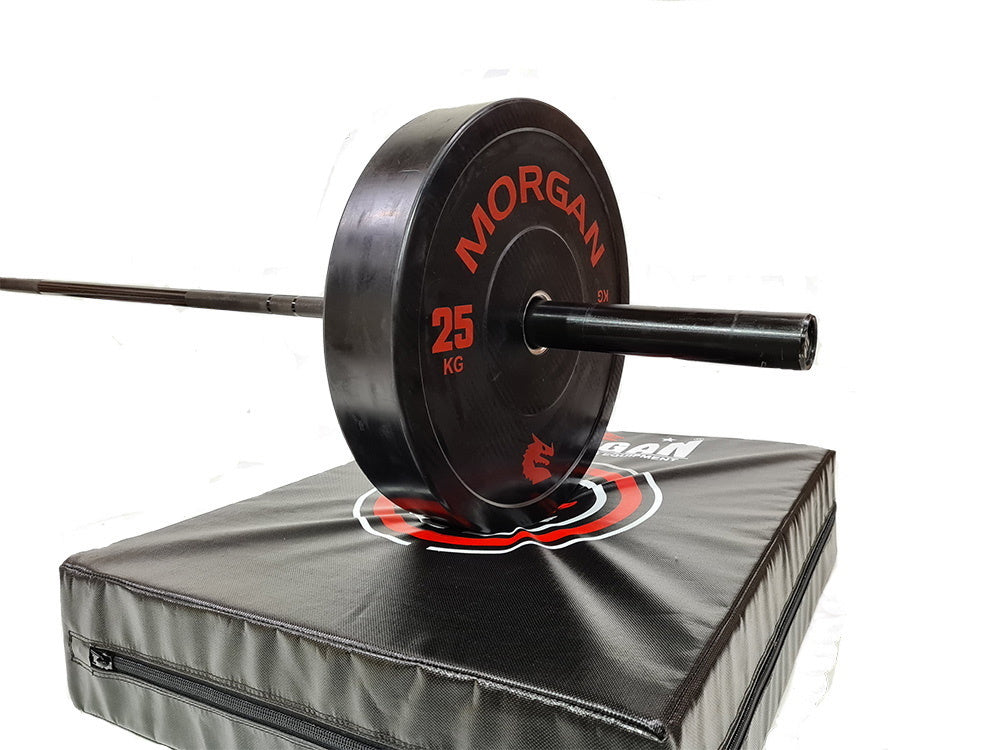 MORGAN DROP MAT - PAIR