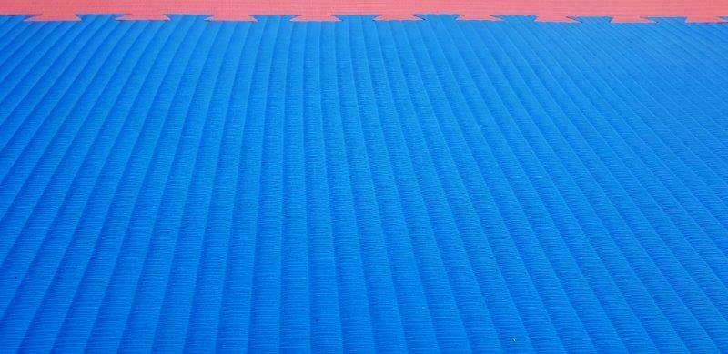 MORGAN Tatami Jigsaw Interlocking Floor Training Fitness Yoga Mats 2Cm/ 1 piece